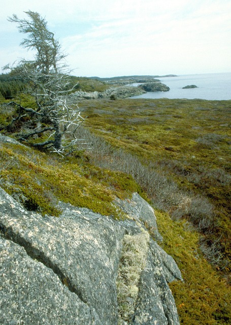 Free Alaska Adirondacks photo and picture