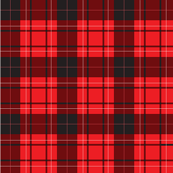Free Pattern Plaid vector and picture