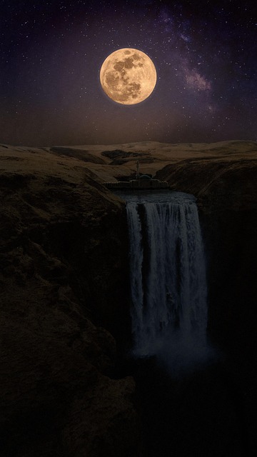Free Full Moon Night photo and picture