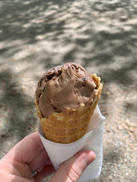 Chocolate Ice Cream, Ice Cream, Eis
