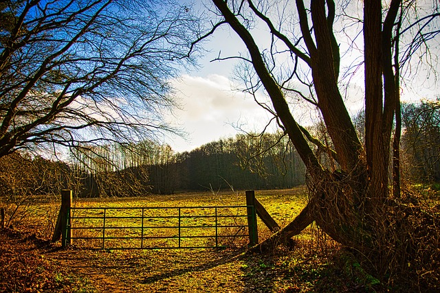 Free Gate Meadow photo and picture