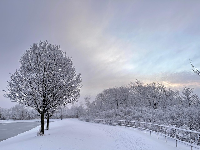 Manhã De Inverno, Neve, Inverno, Manhã