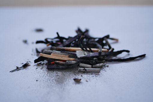 Free Sticks Ash photo and picture