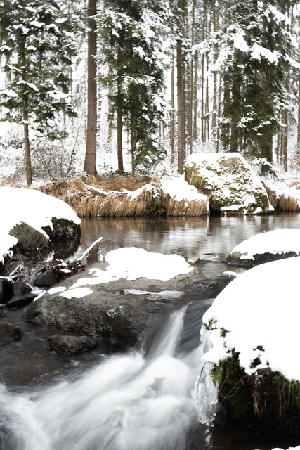 Vinterlandskab, Flyde, Vinter Magi