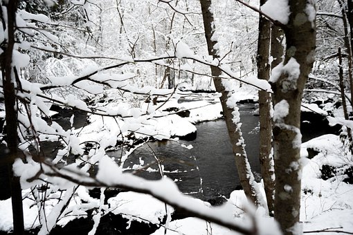 Vinterlandskab, Flyde, Vinter Magi