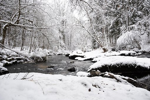 Flod, Sne, Træer, Nøgne Træer, Rimfrost