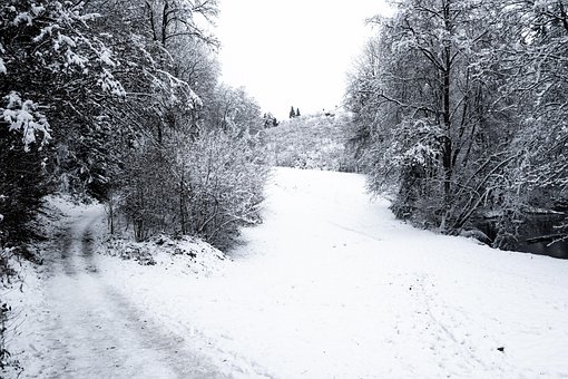 Vinterlandskab, Clearing, Snedækket