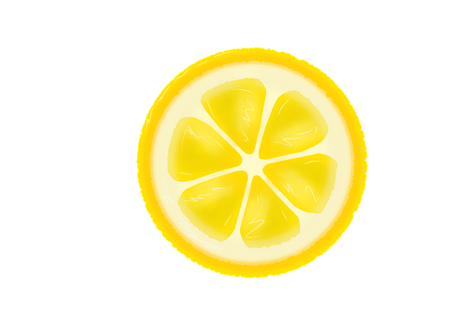 Free lemon slice citrus illustration