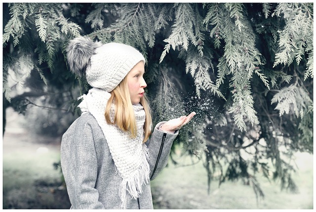 Free Winter Holidays photo and picture