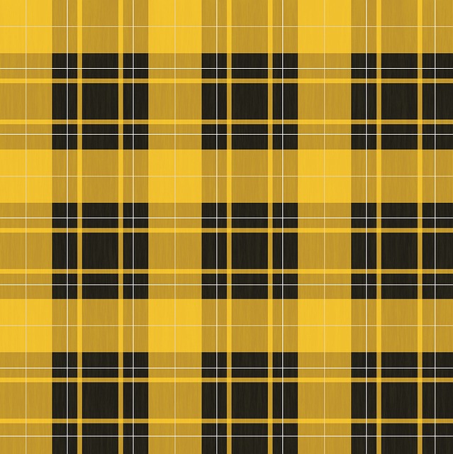 Free Plaid Patter photo and picture