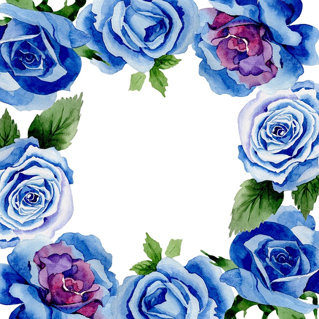 Ramme, Natur, Roser, Akvarel, Blomster