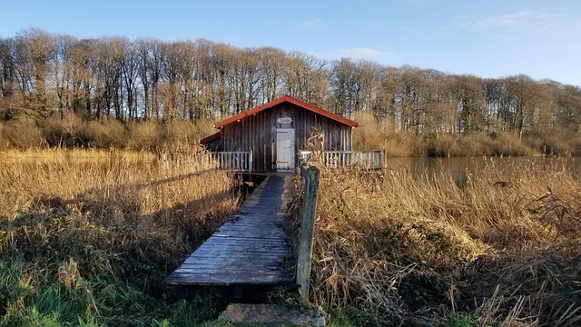 Free Bazouges Sous Hédé Artist'S House photo and picture