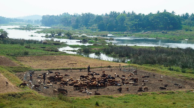 Bauernhof, Landschaft, Landwirtschaft
