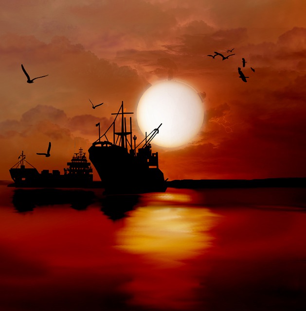 Schiffe, Vögel, Sonnenuntergang