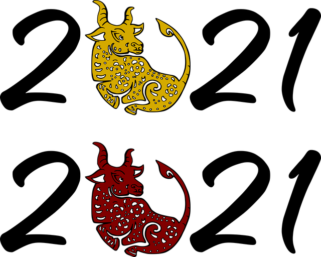 Bivol, Taur, An Nou, An Chinezesc