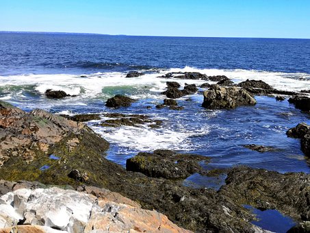 Free Ocean Maine photo and picture