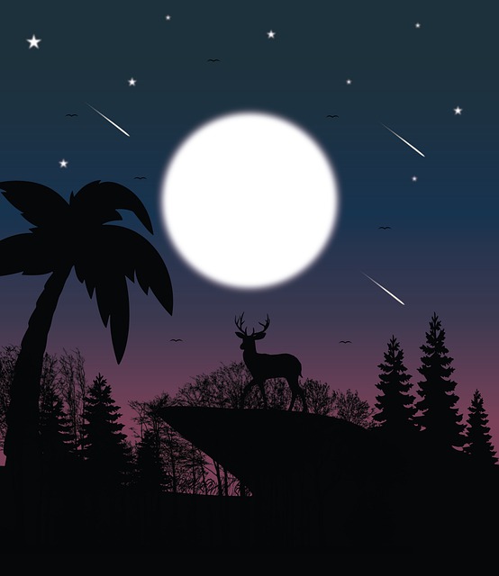 Free Deer Cliff illustration and picture