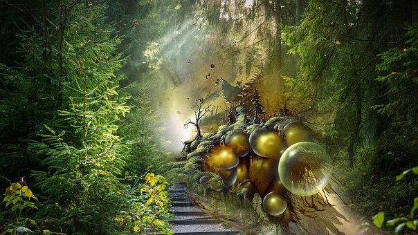 Free Forest Tree photo and picture