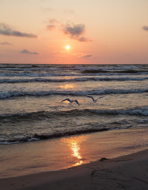 Free Sunset Beach photo and picture
