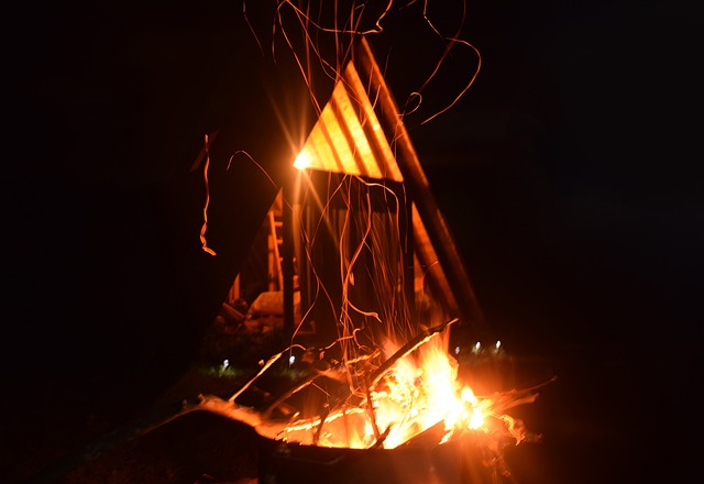Free Wood Fire Fire photo and picture