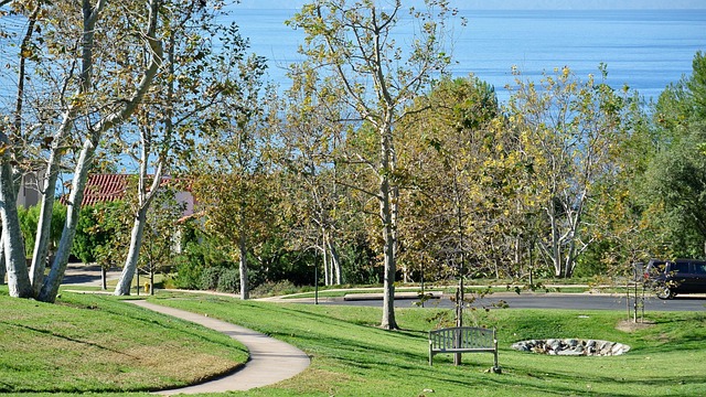 Free Ocean View photo and picture