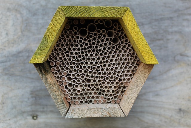 Free Bee Hotel Insect Hotel photo and picture