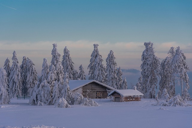 Free House Winter photo and picture