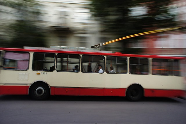 Trolleybus, Vilnius, Litouwen Bus