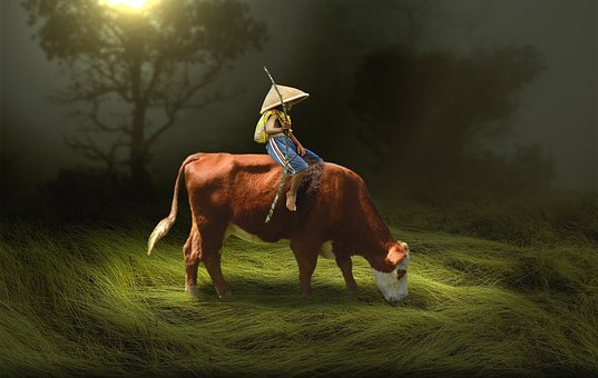 Free Child Riding photo and picture