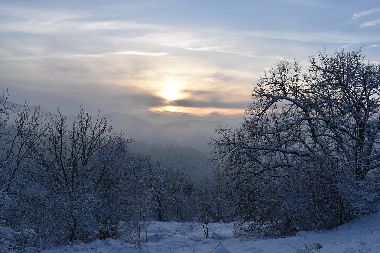 寒冷的 雪 性质 - Pixabay上的免费照片 - Pixabay