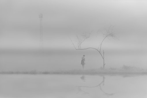 Free In The Fog The Fog photo and picture