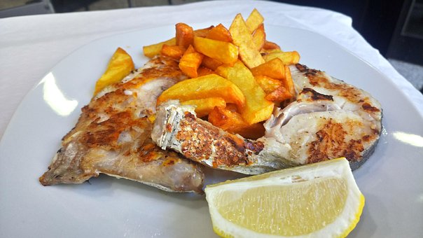 Free Hake Fish photo and picture