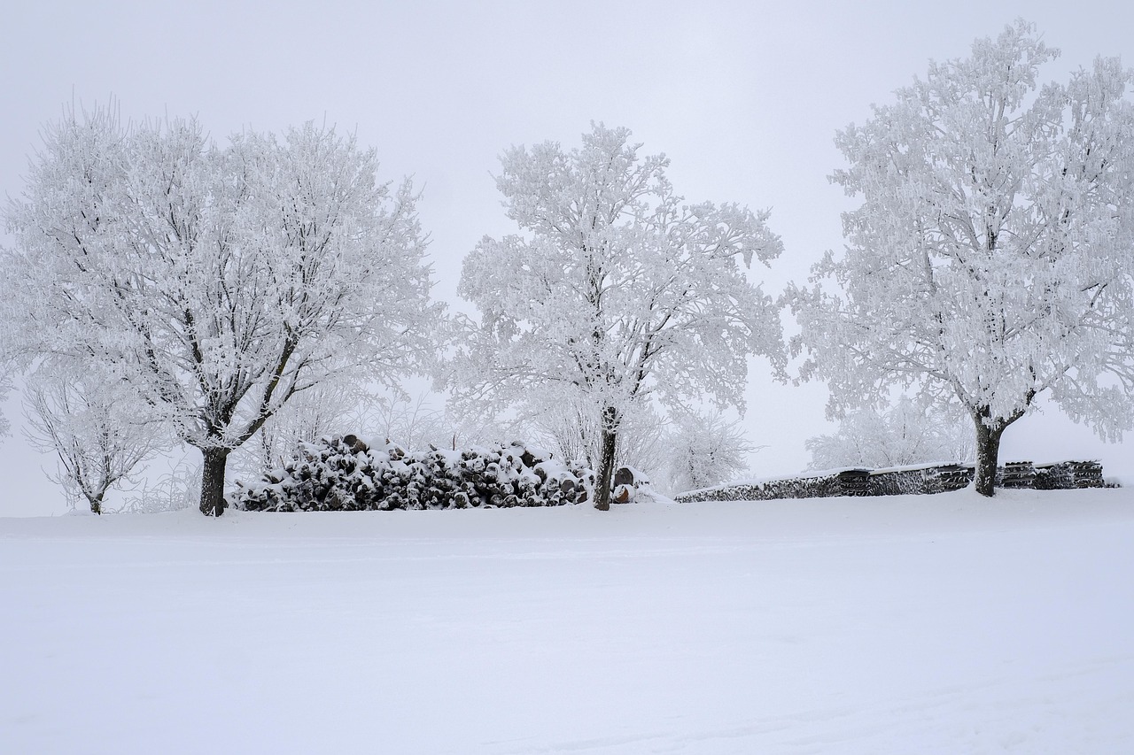 Snow Pisel 80,000+ Free Snow Pile & Snow Images - Pixabay