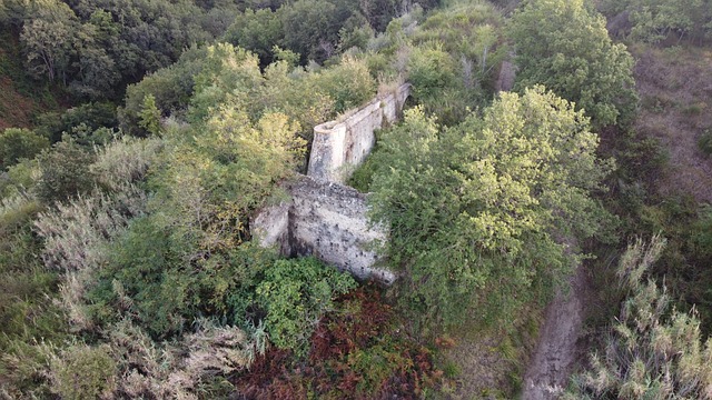 Free Mill Mountain photo and picture