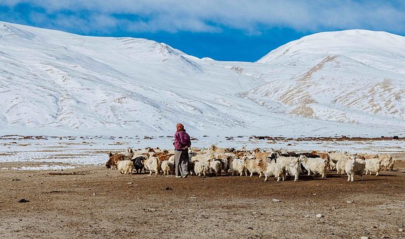 Ladakh, Himálaj, Hory, Příroda, Krajina