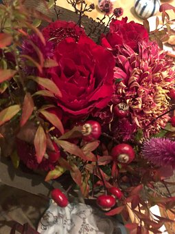 Blomster, Efterår, Rød, Varm, Rose