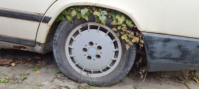 Free Car Rubber photo and picture