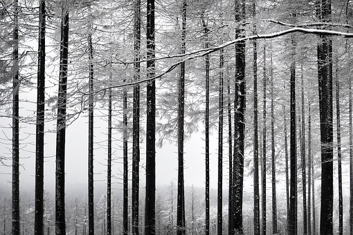 Free Snow Germany photo and picture