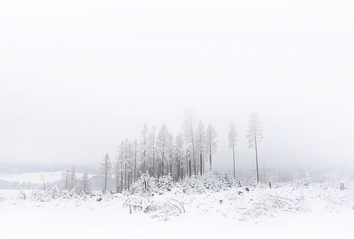 Free Snow Germany photo and picture