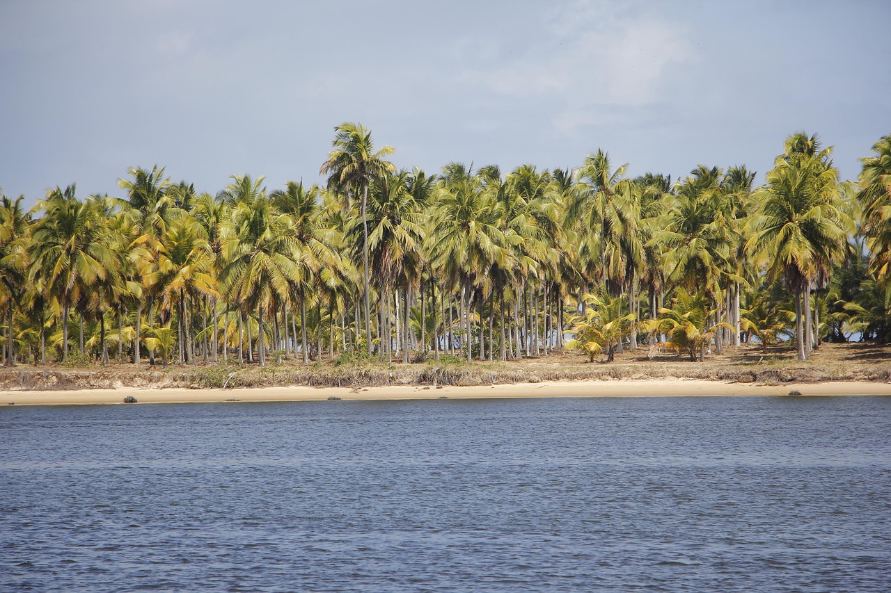 Mar Con Rio Rio Mar Paisagem - Photo gratuite sur Pixabay - Pixabay