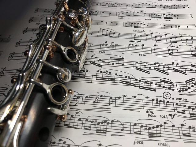 Free Clarinet Maestro photo and picture