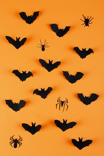 Free Spiders Bats photo and picture