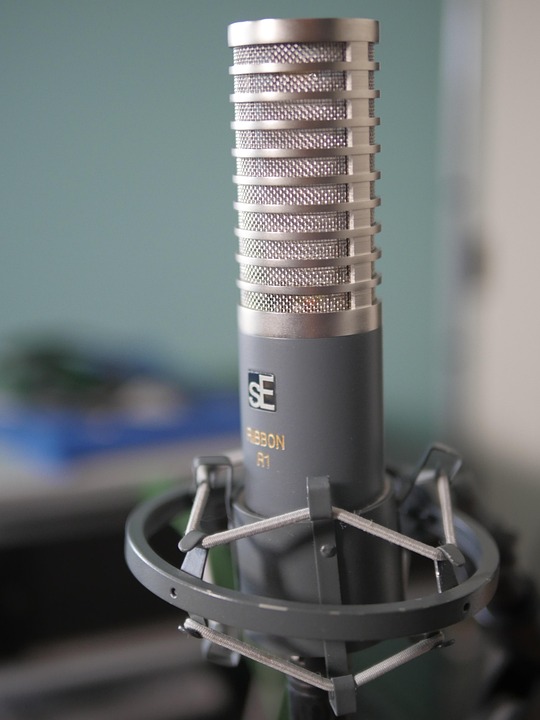 Se Ribbon R1 Microphone Audio Music - Free photo on Pixabay - Pixabay