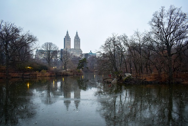Free Lake Central Park photo and picture