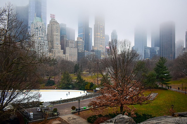 Free Wollman Rink Central Park photo and picture