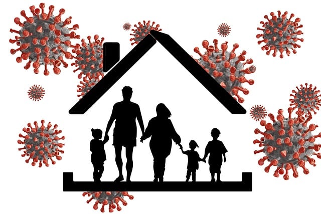 Free corona coronavirus virus illustration