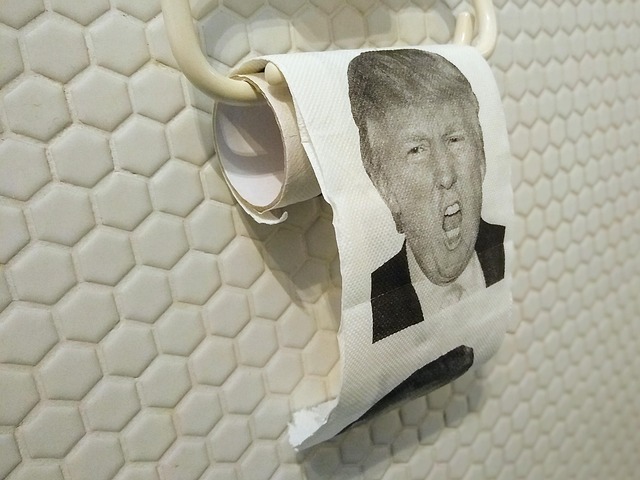 Free Trump Donald Trump photo and picture