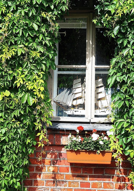 Free Window Sailing Ship photo and picture