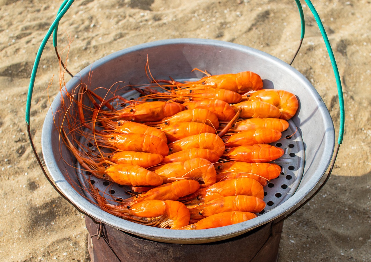 Laut Seafood Kerang Foto gratis di Pixabay Pixabay