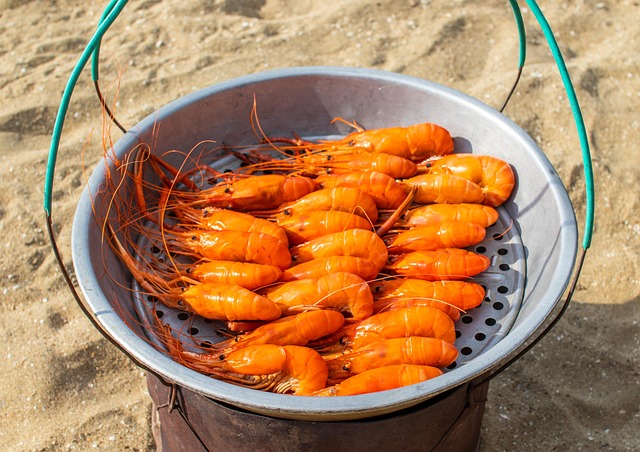 Shell Seafod Sea Seafood Shell - Free photo on Pixabay